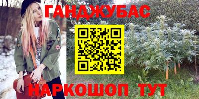 сатива Лесосибирск