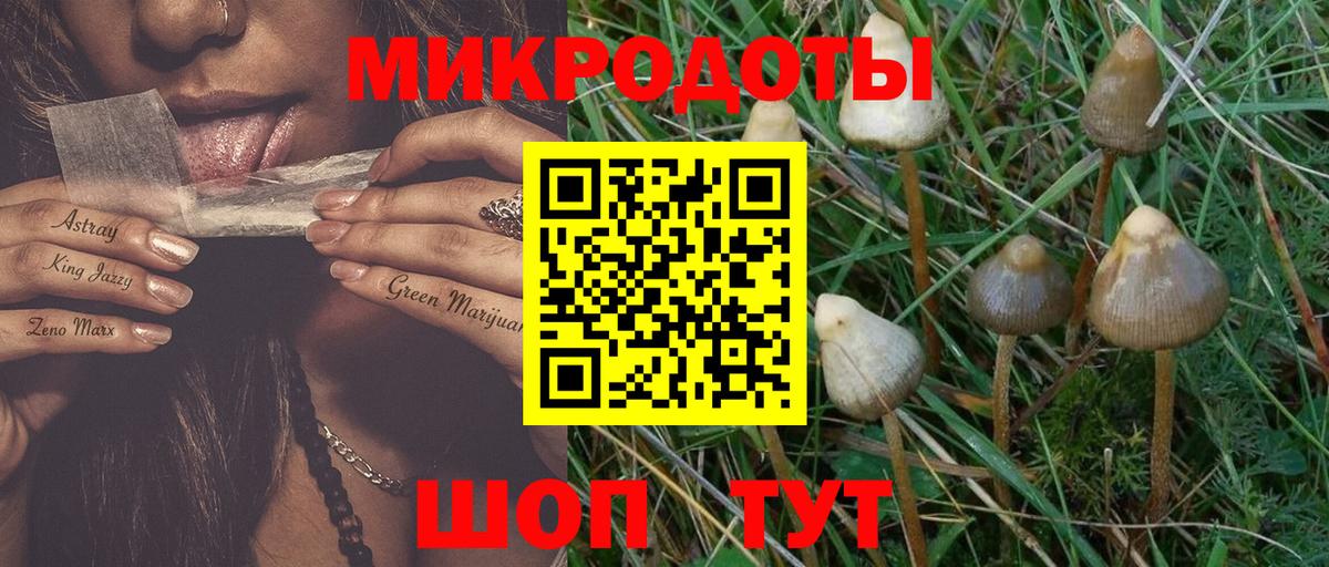дарнет шоп  Галлюциногенные грибы GOLDEN TEACHER  Вход с VPN  Добрянка 